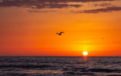 Chuyển tro cốt về quê cần chuẩn bị những gì để trọn đạo hiếu?