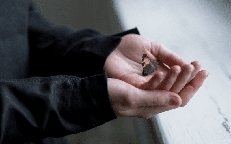 Dịch vụ tang lễ trọn gói: Tiện lợi, tiết kiệm và chu toàn