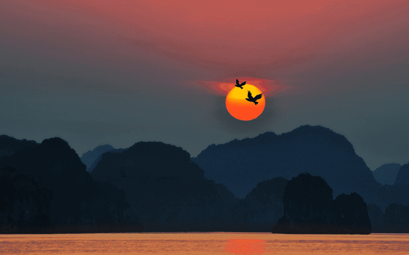 Hũ lưu tro cốt là gì? Các loại hũ lưu tro cốt phổ biến hiện nay
