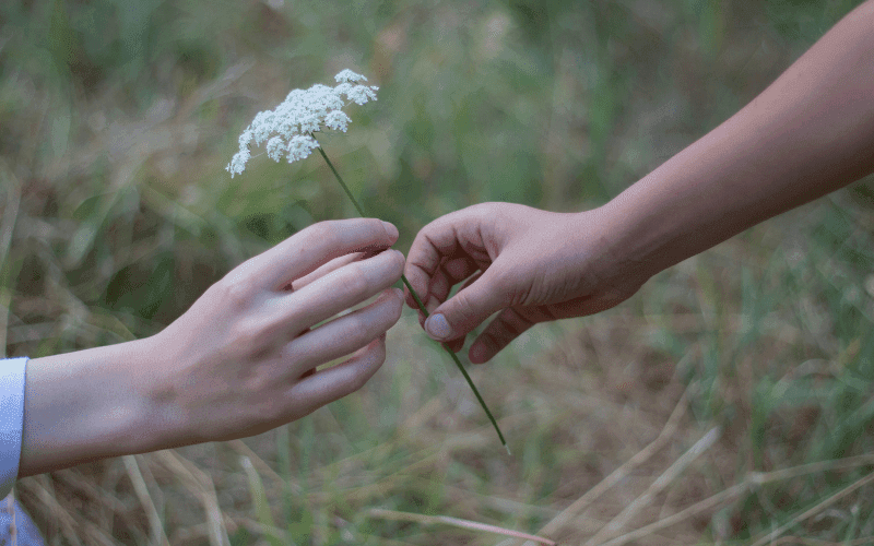 Rước tro cốt về nhà – Làm sao cho đúng lễ và hợp phong thủy?