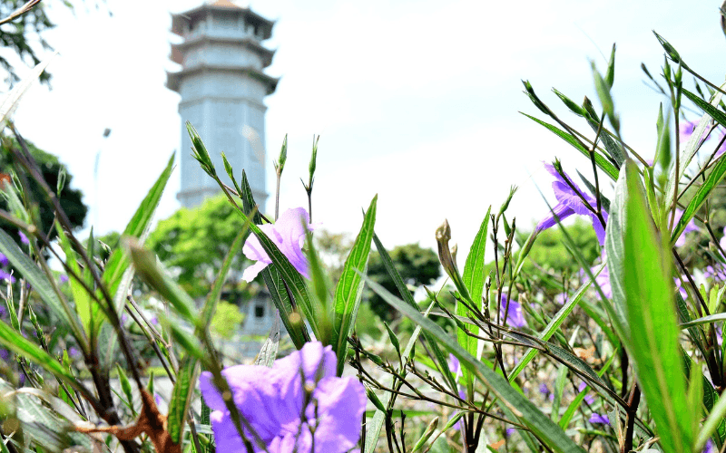 Ký gửi tro cốt dài hạn: Giải pháp an tâm cho gia đình xa quê