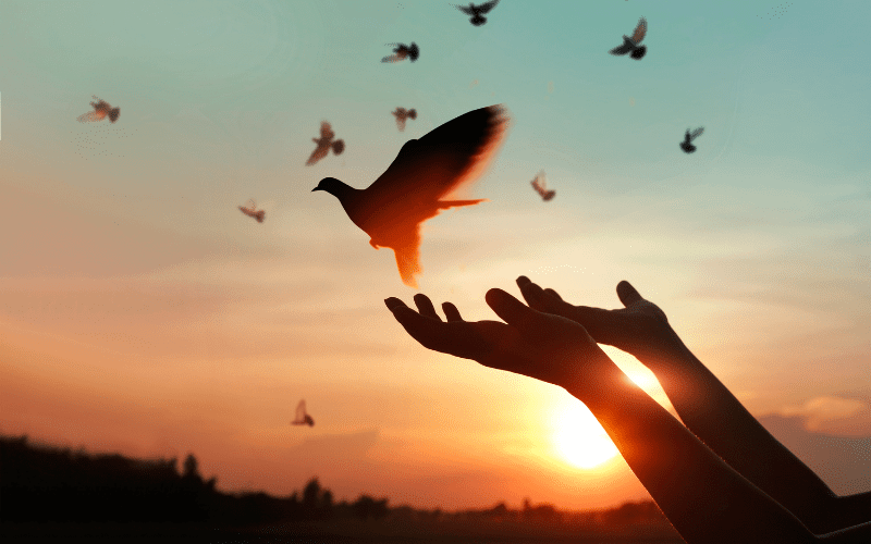 Chuyển tro cốt sang hũ mới: Cách thực hiện trang nghiêm và đúng nghi thức