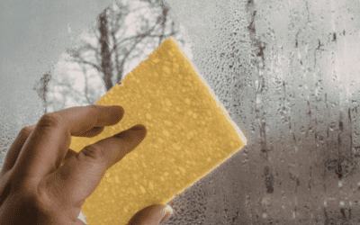 Hũ đựng tro cốt bị ẩm phải làm sao? Hướng dẫn cách xử lý và phòng tránh