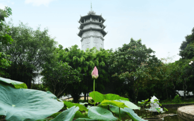 Quy trình triển khai dịch vụ hỏa táng ngoại tỉnh về Tháp Long Thọ