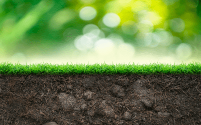 Hũ đựng tro cốt mệnh Thổ: Gợi ý mẫu hợp phong thủy nhất