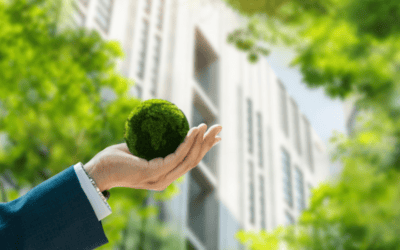 Tìm hiểu tiêu chuẩn khí thải đài hóa thân tại Tháp Long Thọ