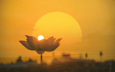 Có nên thay hũ đựng tro cốt sau nhiều năm an vị?