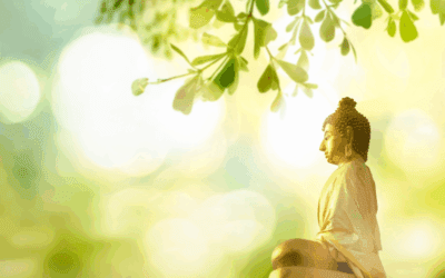 Nơi bán hũ đựng tro uy tín – Mua ở đâu an tâm, chất lượng?