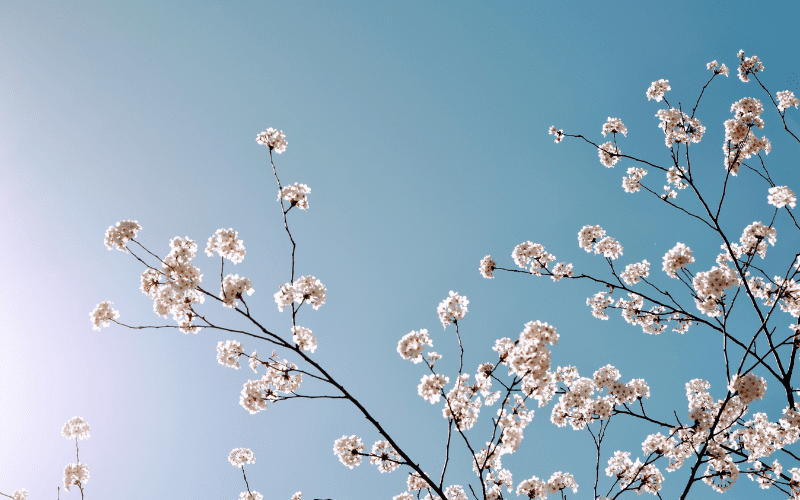 Quy trình hỏa táng cuối năm diễn ra như thế nào?