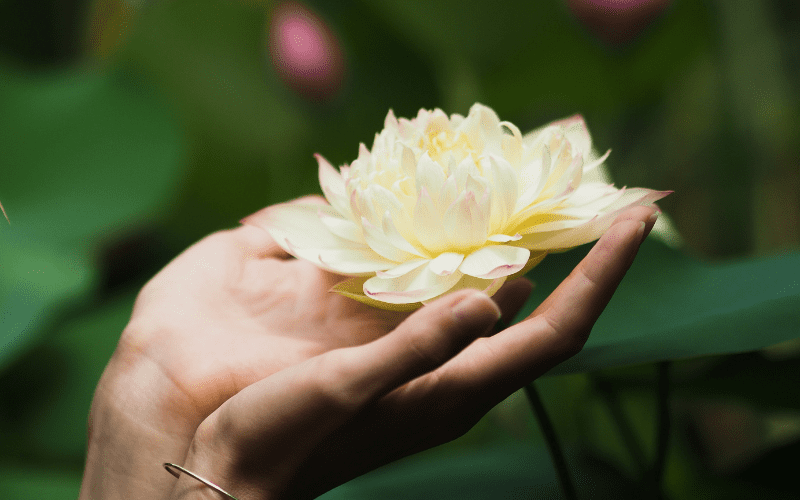 Làm lễ cầu an cho người mất: Gửi lời chúc lành đến thế giới bên kia