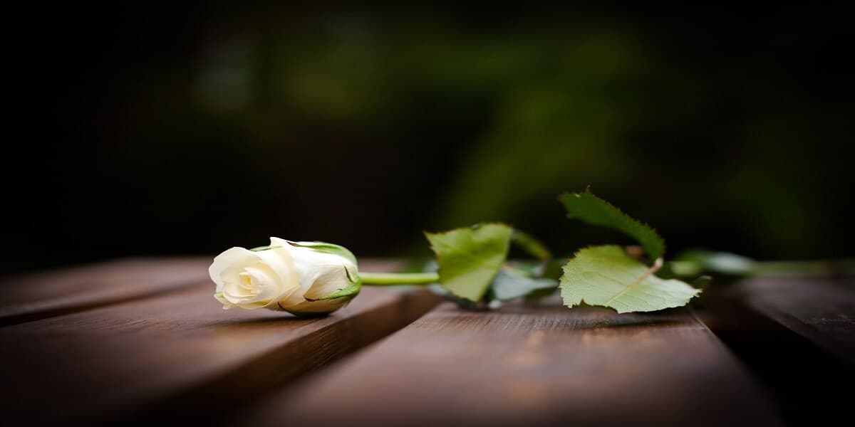 tổng hợp những mẫu câu chia buồn trong tang lễ hay và ý nghĩa